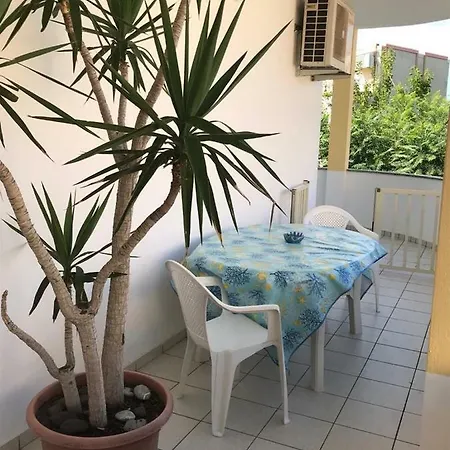 Tea 14 - Isola Di Dino - Praia A Mare